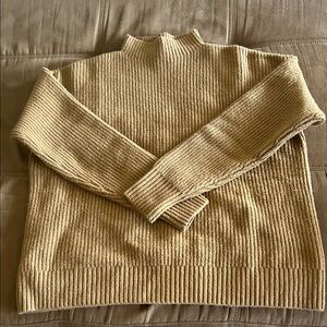 Eddie Bauer Women's Tan Turtleneck Sweater